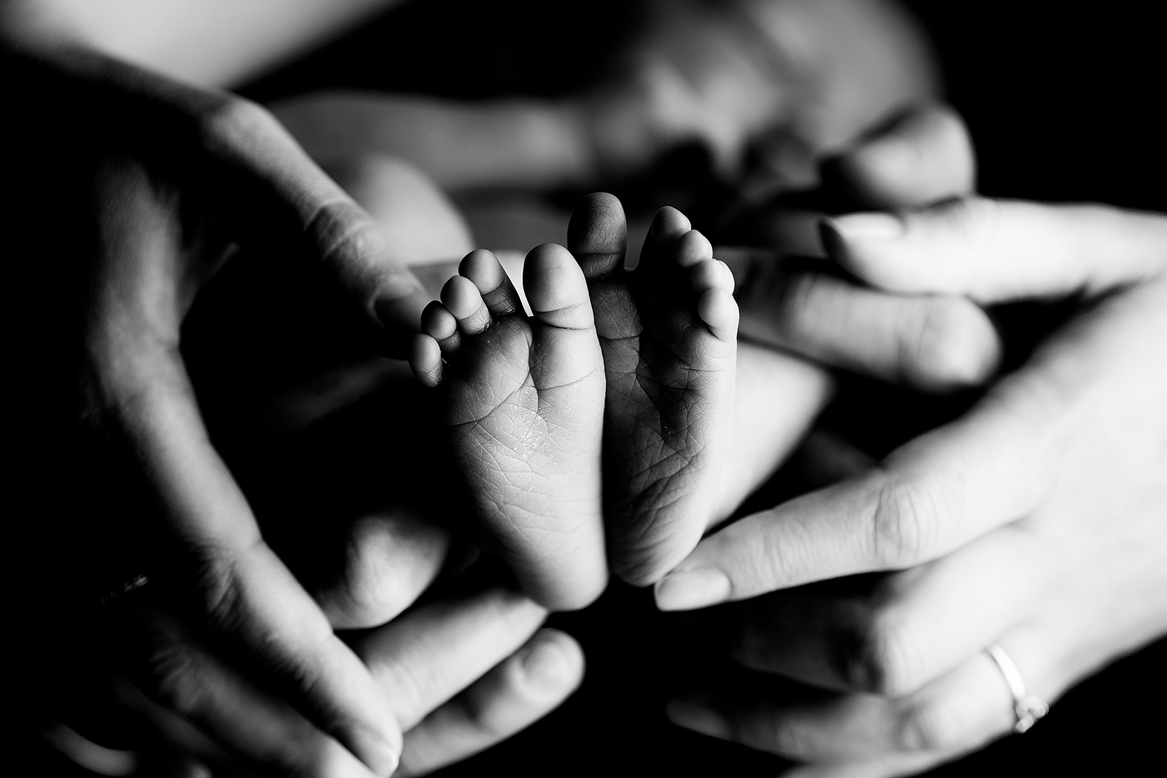 High End Unique Newborn Portrait photoshoot in-studio